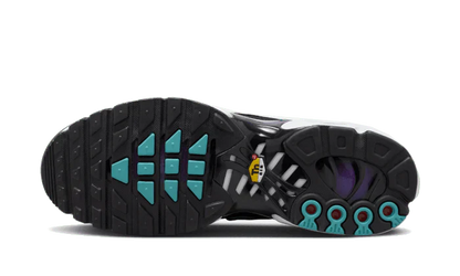 Nike Air Max Plus Tn Reverse Grape